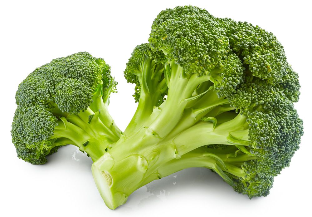 Broccoli ES 6KG BIO